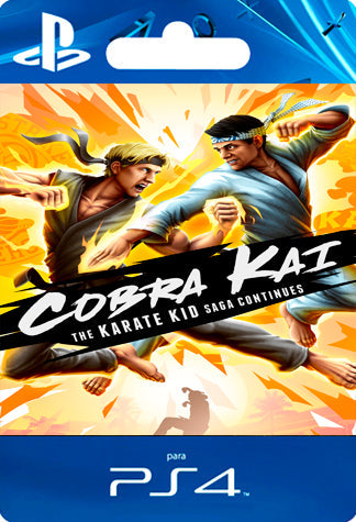 Cobra Kai The Karate Kid Saga PS4